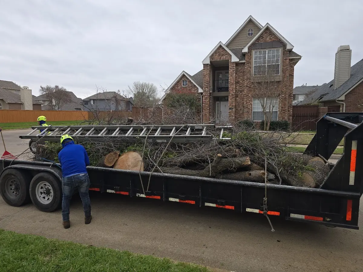 Expert Tree Pest Control with proper safety equipment in Jim Falls